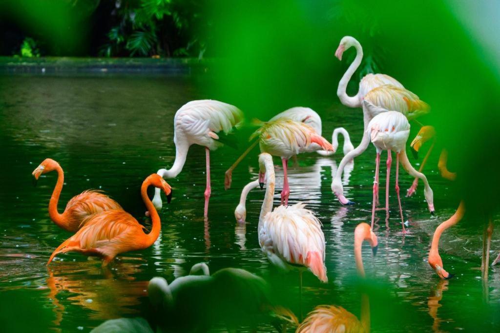 Wings Hotel Guangzhou Luaran gambar